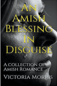 Amish Blessing In Disguise