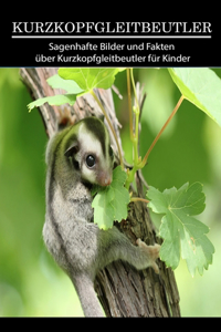 Kurzkopfgleitbeutler