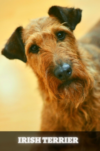 Irish Terrier