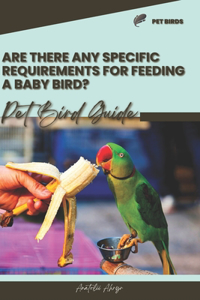 Are there any specific requirements for feeding a baby bird?: Pet bird guide