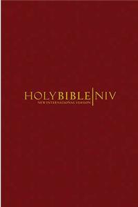 NIV Popular Burgundy Hardback Bible
