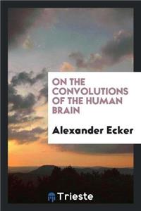 On the Convolutions of the Human Brain