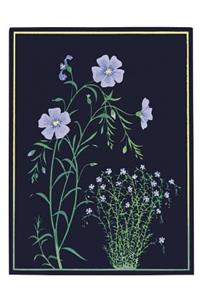 Kate Krasin