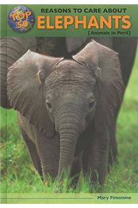 Top 50 Reasons to Care about Elephants