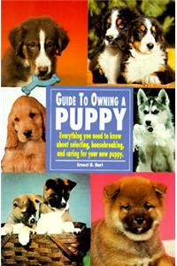 Guide to Owning a Puppy