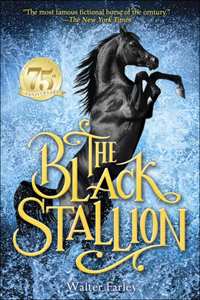 Black Stallion