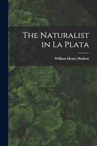 Naturalist in La Plata