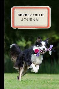 Border Collie Journal