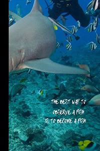 The best way to observe a fish is to become a fish