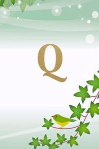 Q