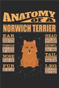 Anatomy Of A Norwich Terrier