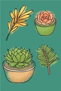 Succulents