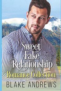 Sweet Fake Relationship Romance Collection