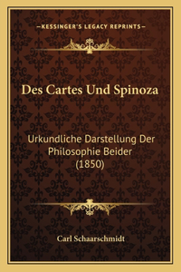Des Cartes Und Spinoza