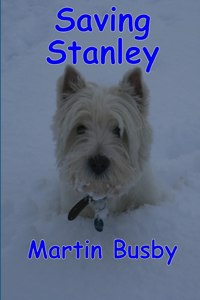 Saving Stanley: an Adventure