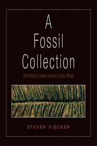 A Fossil Collection