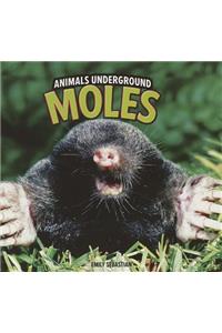 Moles