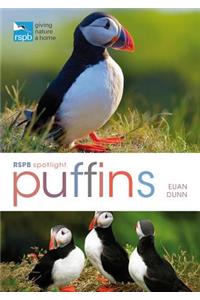 Rspb Spotlight: Puffins