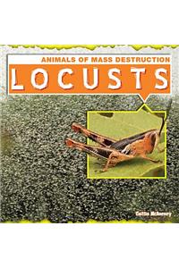 Locusts
