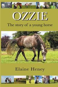 Ozzie - The Story of a Young Horse