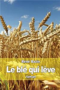 Le blé qui lève