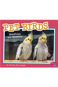 Pet Birds