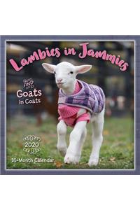 Lambies in Jammies & Goats In Coats