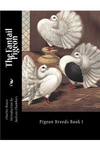The Fantail Pigeon