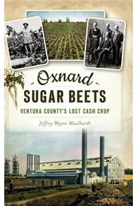 Oxnard Sugar Beets