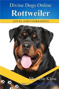 Rottweiler