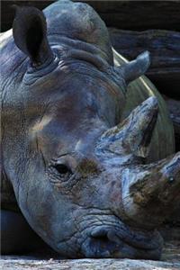 Rhinoceros Any Day Planner Notebook