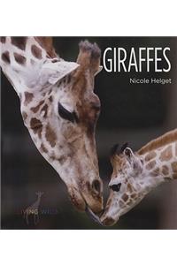 Giraffes