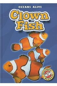 Clown Fish