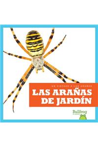Las Arañas de Jardín (Garden Spiders)