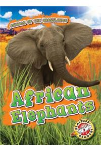 African Elephants