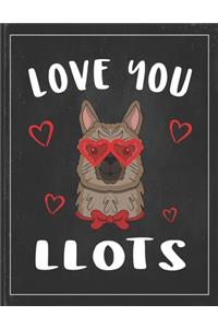 Love You Llots