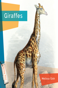 Giraffes