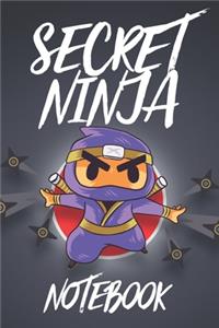 Secret Ninja