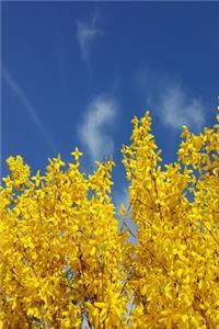 2020 Weekly Planner Forsythia Against Pretty Sky 134 Pages