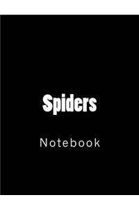 Spiders
