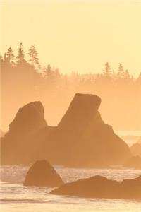 2019 Daily Planner Misty Foggy Sunrise Beach Ocean Shoreline 384 Pages