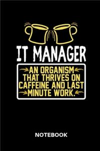 IT Manager Notebook