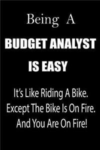 Being a Budget Analyst Is Easy