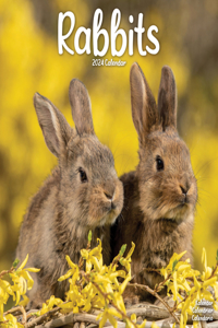 Rabbits   Calendar 2024  Square Animal Wall Calendar - 16 Month
