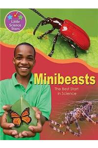 Little Science Stars: Minibeasts