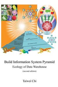 Build Information System Pyramid