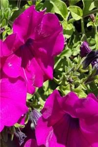 Floral Journal Purple Summer Blooms