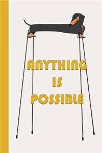 Anything Is Possible