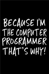 Because I'm the Computer Programmer That's Why!