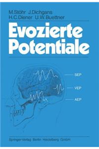 Evozierte Potentiale: Sep - Vep - Aep